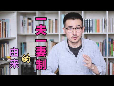 一夫一妻制的由来 | 机器人夏先生1号