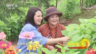 《生财有道》 20220811 地道小吃大餐 美味传承京山|CCTV财经