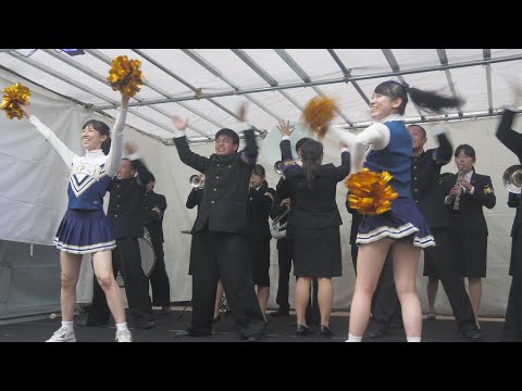 神田小川町ライブイベントワクワクFesta2017②  明治大学第一応援歌「紫紺の歌」明治大学応援団バトン･チアリーディング部JESTERS