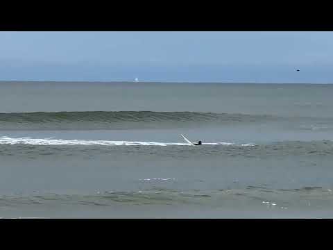 North Florida Surf And Beach Update 2pm 11.29.2024