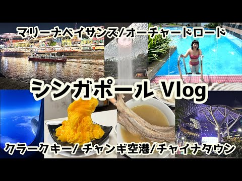 シンガポールに2ヶ月滞在することにしました。マリーナベイサンズ/オーチャードロード/クラークキー/チャンギ国際空港/チャイナタウン