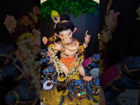 All my family ganapati bappa #shortsviral #ganapatibappamorya #ganapati #bappamorya #moraya #bappa