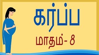 Pregnancy | Tamil | Month by Month |  Month 8 | கர்ப்பம் மாதம் 8 |  Week 29 to Week 32