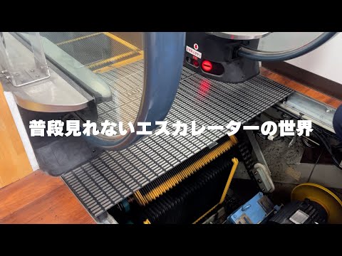 【激レア映像】エスカレーターの世界