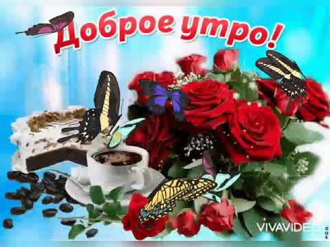 Доброе утро! 💐💐💐 Отличного дня! 🌤️🌤️🌤️