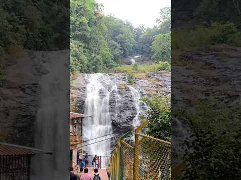 The mesmerising sight of Abbey Falls in Coorg, cascading down from a height of 70 feet!