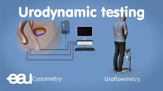 Urodynamics for overactive bladder