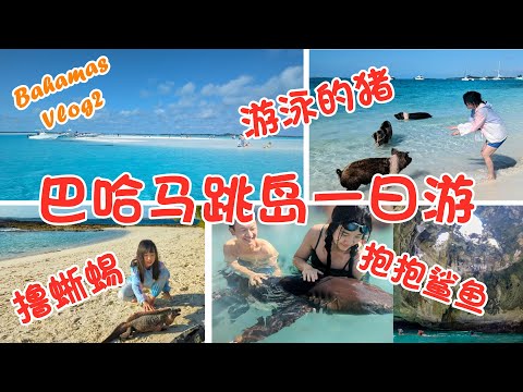 【Bahamas Vlog2】巴哈馬網紅打卡聖地Exuma跳島一日遊及攻略：與豬豬同遊，與鯊魚共泳，蜥蜴隨意擼，洞穴潛水，難得的人生體驗 | Top Things to Do in Bahamas