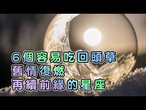 6個容易吃回頭草，舊情復燃再續前緣的星座