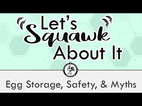 Let's Squawk About It (Ep. 3): Egg Storage, Safety, & Myths