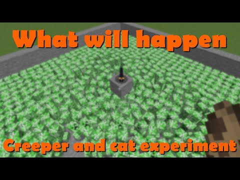 Creeper and Cat Experiment