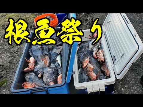 【根魚】ソイ、メバル、ホッケにサバ。サメも賑やかで休むヒマがな〜い