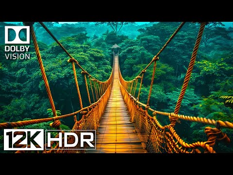 The ULTIMATE 12K HDR 120FPS Dolby Vision Footage You'll Ever See [BGM]