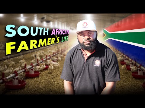 A Day in the Life of a South African Poultry Farmer: Secrets to Success & Sustainable Practices!