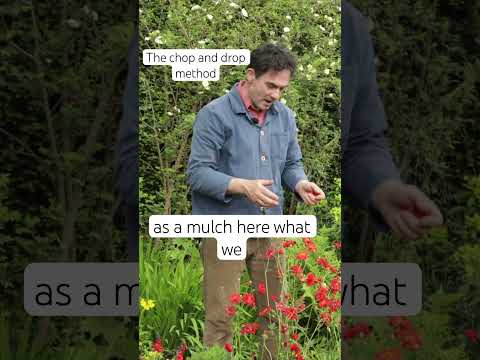 Troy Scott Smith explains the benefits of the chop and drop method #gardeningtips