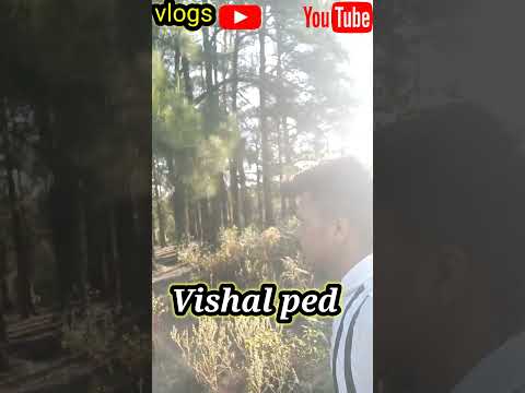 bhayanak Vishal ped jabardast background# short# video# viral#new#2023#