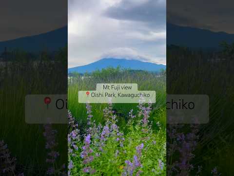 Mt Fuji up & close, spectacular view from Oishi park, Kawaguchiko