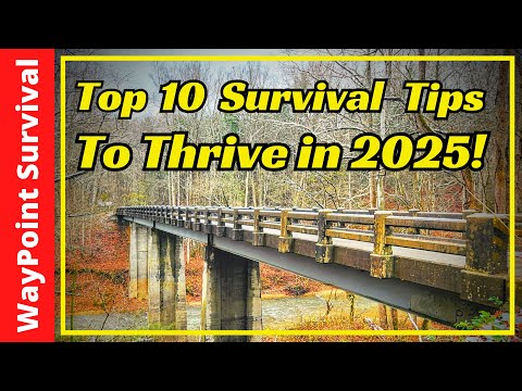 10 Survival Tips for 2025!