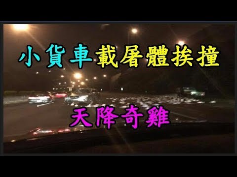 【天降奇雞】 小貨車載屠體挨撞 TREND64 最熱門新聞