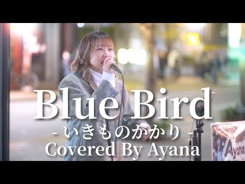 Blue Bird(いきものがかり)/Ayana