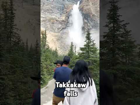 Takkakaw falls BC #summervibes #familytime #bondingtime