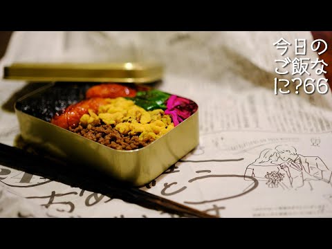 お弁当の夜ご飯｜絶叫する夫に困る妻｜年の差夫婦の何気ない会話｜Japanese food｜今日のご飯なに？66