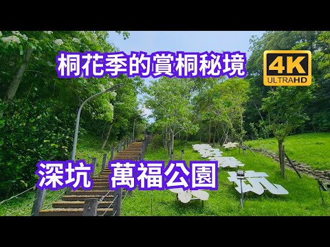 萬福公園：一場桐花與自然的和諧交響追尋，桐花季的白雪世界，賞桐秘境，桐花盛宴邀您共賞白雪飄落，五月雪中的桐花夢，桐花季的詩意畫卷，漫步於深坑萬福公園 。