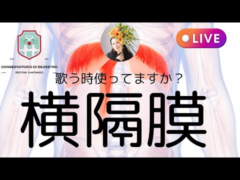 めちゃ大事な横隔膜を使おう！#オンライン声楽レッスン #声楽レッスン  #田川理穂 #声の出し方 #発声練習 #発声 #オペラ歌手 #オペラ留学#Silvestro先生