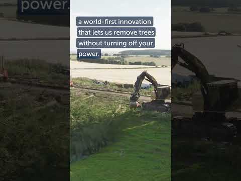 UK’s First Live Line Harvesting: Keeping Your Power On