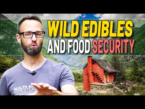 How To Learn Nutritious Wild Edibles For Food Security