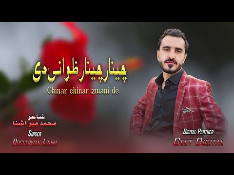 Nosherwan Ashna New Songs 2023 Chinar chinar zwani de | Pashto Songs 2023