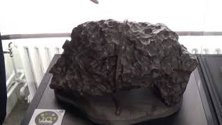 *Sikhote-Alin* IRON Meteorite at the Natural History Museum in Stockholm