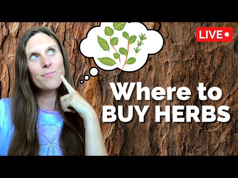 Where to buy Organic Herbs - my favorite companies