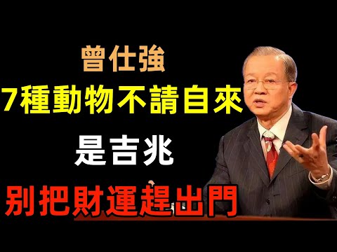 這7種動物不請自來「是吉兆」千萬不要把財運趕出門！#曾仕強#民間俗語#中國文化#國學#國學智慧#佛學知識#人生感悟#人生哲理#佛教故事