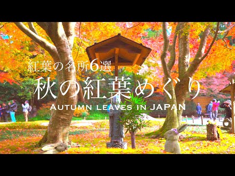 Autumn Travel / Six Famous Autumn Foliage Spots in Japan