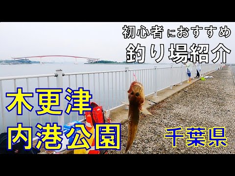 釣り場紹介【千葉県 木更津内港公園】初心者でも安全に楽しめる 無料駐車場やトイレもあって安心