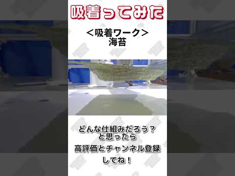 【 真空のチカラで 】#海苔 吸着ってみた【コンバム】