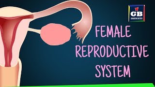 Human #female reproductive system |sexual reproduction| 10th Biology :CBSE | ncert class 10 |Science