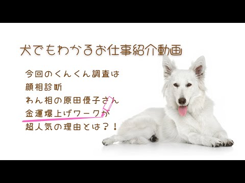 犬でもわかるお仕事紹介動画　原田優子さんが犬と話せるようになったのは？！