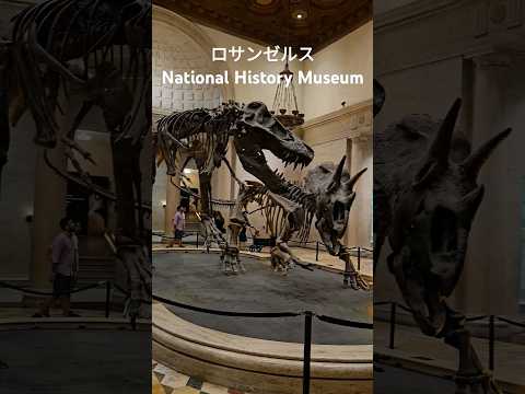 ロサンゼルスのNational History museum に家族で行ってきた！#アメリカ生活 #家族 #museum