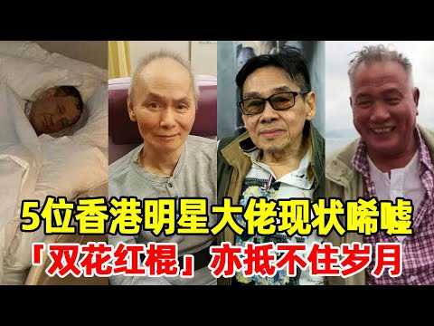 The current situation of 5 Hong Kong star bosses is sad! ”Double Flowers and Red Stick” can't resis