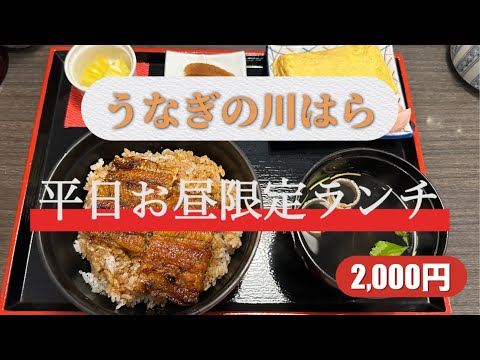 【全国美味いもの探訪】オススメ平日お昼限定ランチ「うなぎの川はら」（奈良県大和郡山市）コスパ最強のうなぎランチをいただきました　#らんち #うなぎ #なら#大和郡山市 #コスパランチ #コスパ最強