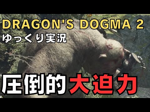 【ドラゴンズドグマ2】ゆっくり実況－サイクロプス戦最高－【DD2実況-part.4】