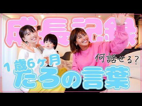 【たろ成長日記】1歳6ヶ月のたろはどんな言葉をお喋りできる？？👶