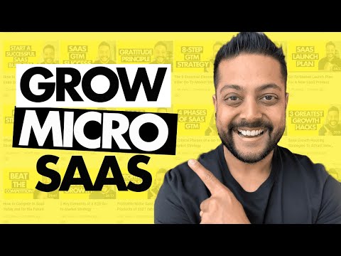 Micro SaaS: Go-To-Market Strategy Case Study (Timmy)