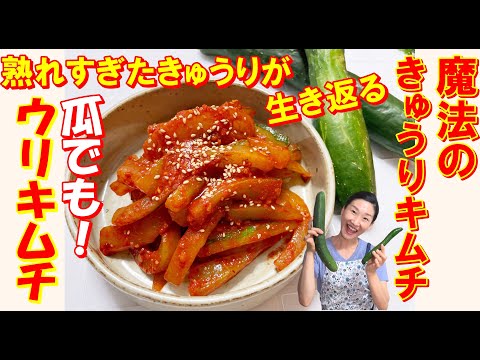 【韓国料理】ウリキムチ 作り方｜成長しすぎたキュウリで胡瓜キムチ レシピ｜食感を生き返らせるきゅうりキムチ レシピ｜きゅうりキムチ 作り方