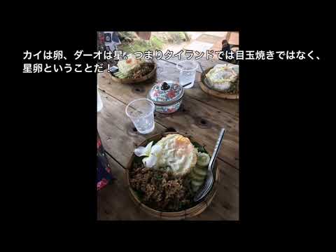 田んぼレストラン