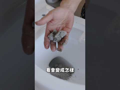 養貓的人注意了！貓砂倒馬桶會發生什麼事呢？ #水電爸爸    #貓砂 #馬桶 #cat #貓  #shorts