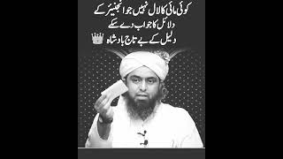 #emam #engineermuhammadalimirza #thedamagehasbeendone #engineermuhammadalimirzagustakhi #feedshorts