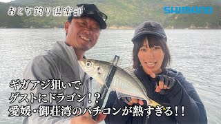 【おとな釣り倶楽部】愛媛県御荘湾、船からライトバチコン釣りで良型アジ連発！良型タチウオ！